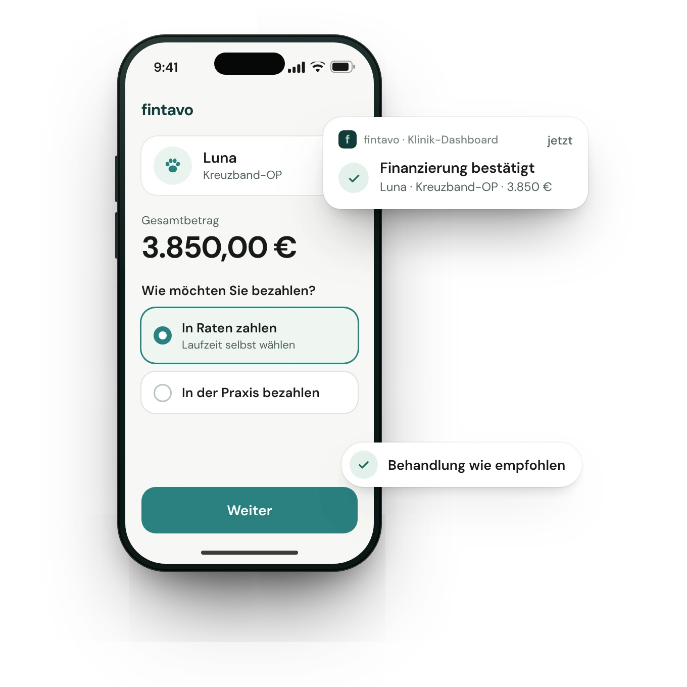 fintavo auf dem Smartphone des Tierhalters: Ratenzahlung für Luna, die Klinik sieht „Finanzierung bestätigt“.